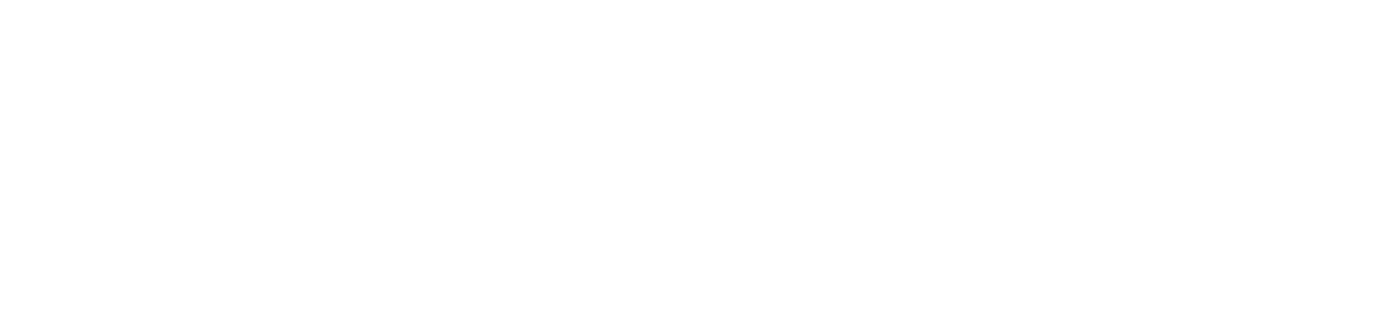 Carzilla Car Care